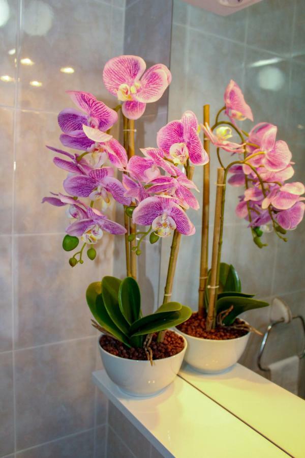 Sweet Dreams Apartment Plitvicka Jezera Ngoại thất bức ảnh